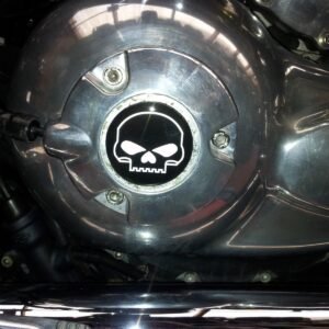 Night Rod Skull Gel Badge
