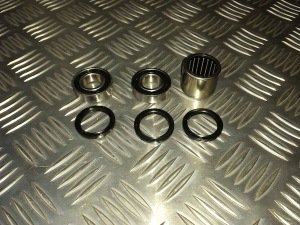 Swinging Arm Bearings & Seals